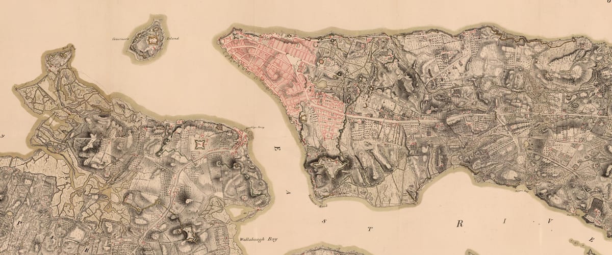 Here Grows New York City